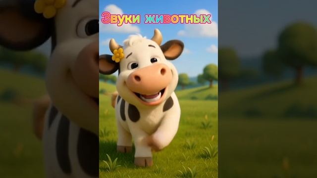 307673.mp4
