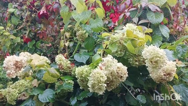 Ну вот и 🍁Осень🍂 пришла