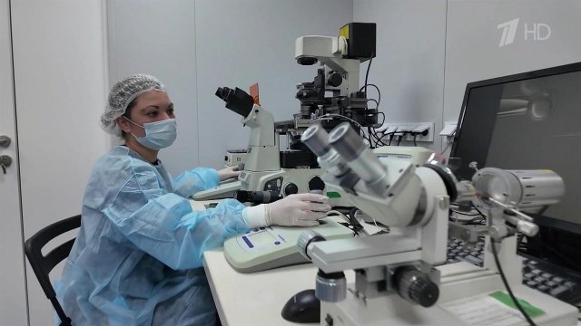 Ученые МГУ ищут способы справиться с тяжелейшими заболеваниями