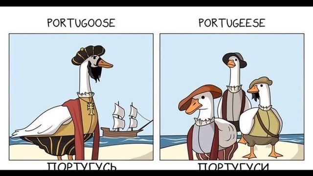 португусь