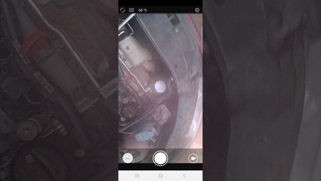 1000489500.mp4