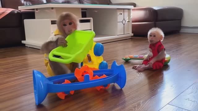 Обезьянки МАЛЕХА и БУКАШКА кроха играли игрушками Строят с мамой забор МИЛАЯ МАЛЫШНЯ