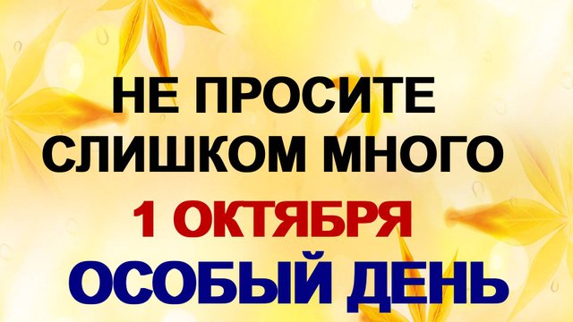 1 октября. Арина Шиповница: как не потерять все, что имеешь.