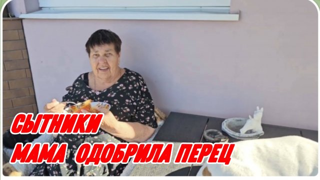 САМВЕЛ АДАМЯН, СЫТНИКИ, МАМА ОДОБРИЛА ПЕРЕЦ..