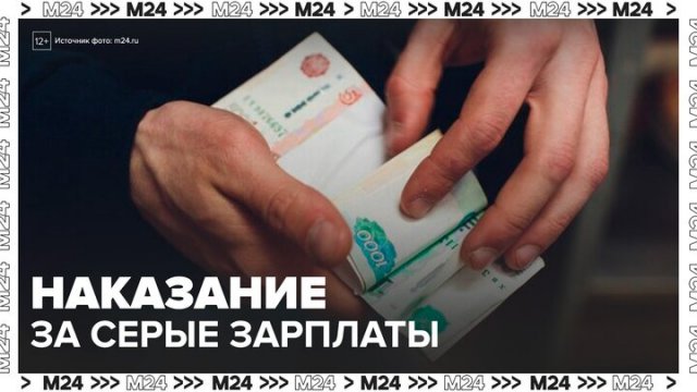 Уголовное наказание за "серые зарплаты" предложили ввести в России - Москва 24