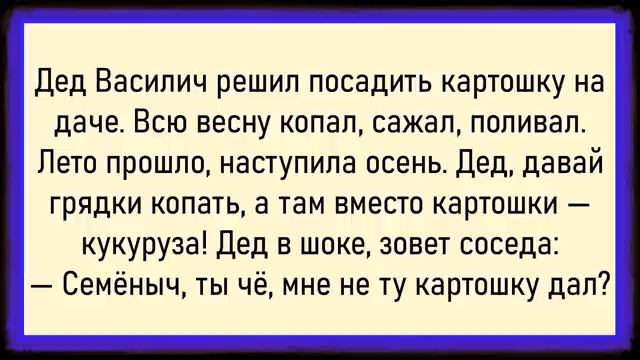 Такого ДЕД точно не ожидал! Сборник свежих анекдотов! Юмор