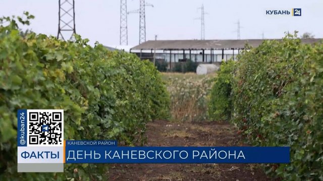 Каневскому району посвятили выпуск 24 сентября на телеканале «Кубань 24»