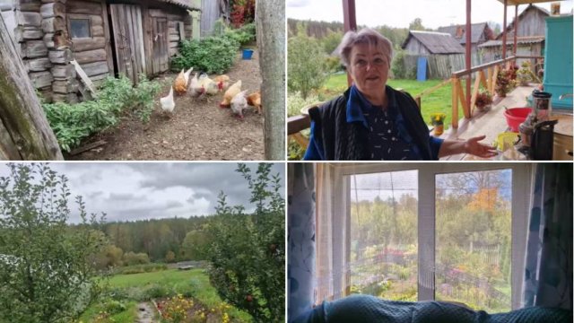 ПЕРЕДАВИЛИ ДВЕ ТЕЛЕЖКИ ЯБЛОК. ЖУРАВЛИ ПОПРОЩАЛИСЬ С НАМИ И УЛЕТЕЛИ.