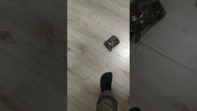 VID_20250925_204520.mp4