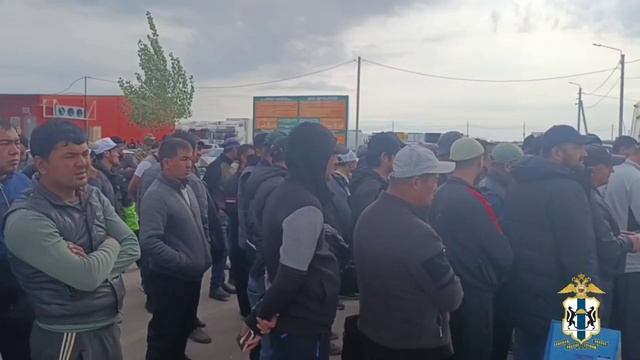 В Новосибирской области сотрудники полиции выявили 17 нарушителей миграционного законодательства