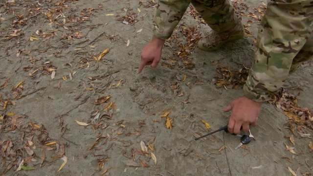 Абаза заняла оборону от косолапых