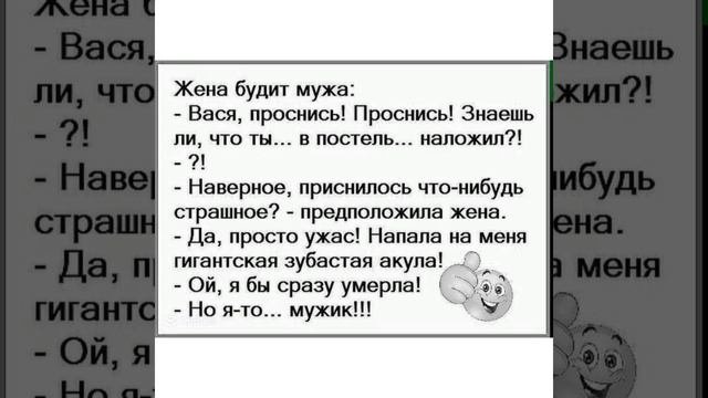 Юмор