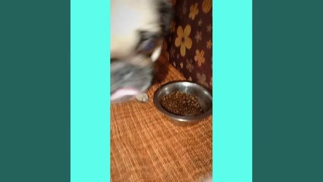1000495938.mp4
