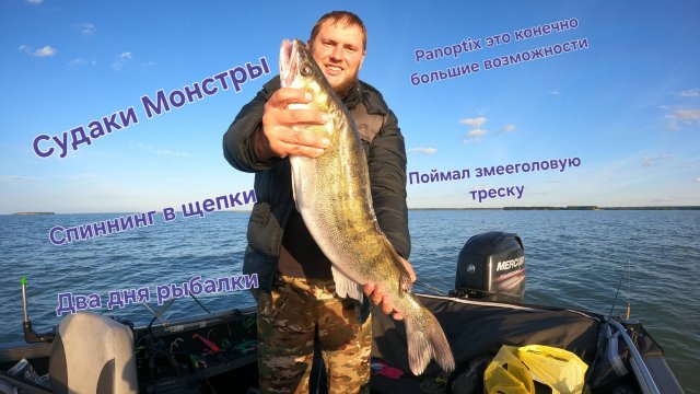 Судаки монстры ломают спиннинги. Рыбалка на паноптикс два дня в одного на Panoptix