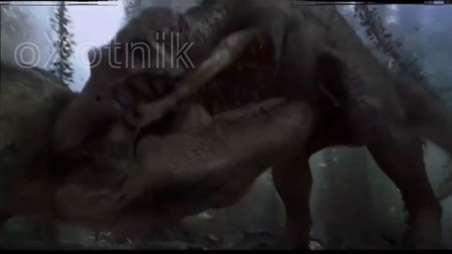 #эдит_про_спино