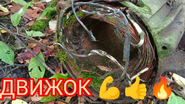 НАШЛИ КАБАНЧИКА !!! И НЕ ДУМАЛИ ЧТО В ТАКОМ МЕСТЕ МОГ ПОПАСТЬСЯ ДВИЖОК 💪