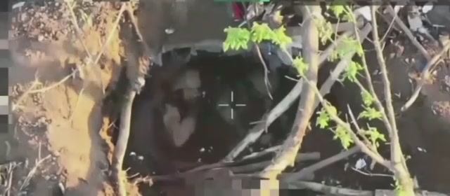 Двух Колумбийских мучачо в плен брать не стали.