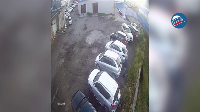 Успел в последний момент: кадры спасения мужчины от медведя в Петропавловске-Камчатском