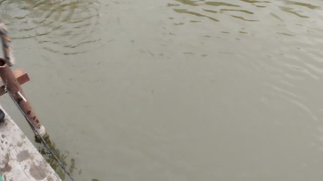 1000036095.mp4