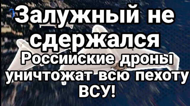 ТАМИР ШЕЙХ / ДРОНЫ УНИЧТОЖАТ ВСЮ ПЕХОТУ ВСУ! ЗАЛУЖНЫЙ РАСКРЫЛ ПРАВДУ. сводки новости