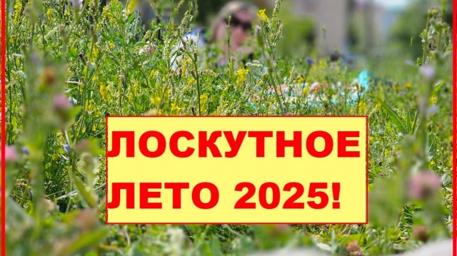 Чудесное ЛОСКУТНОЕ лето 2025