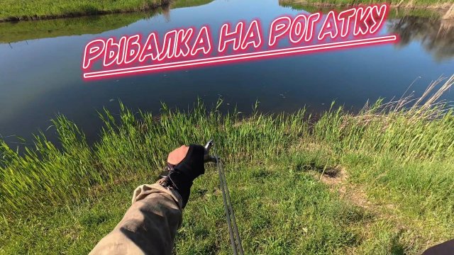 Рыбалка на Рогатку - Slingshot Fishing #охотасрогаткой #2025 #top #headshot #змееголов #fishing #1m