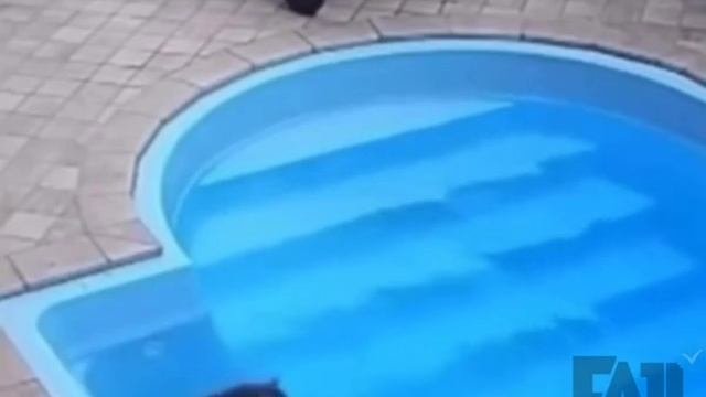 сначала кипиш потом,спокойно.mp4