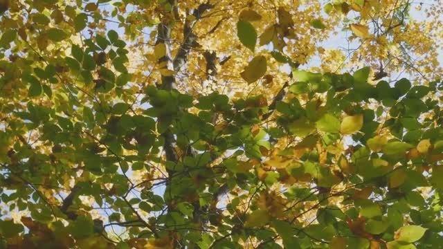ПРЕКРАСНАЯ РОМАНТИЧЕСКАЯ МУЗЫКА ДЛЯ ДУШИ