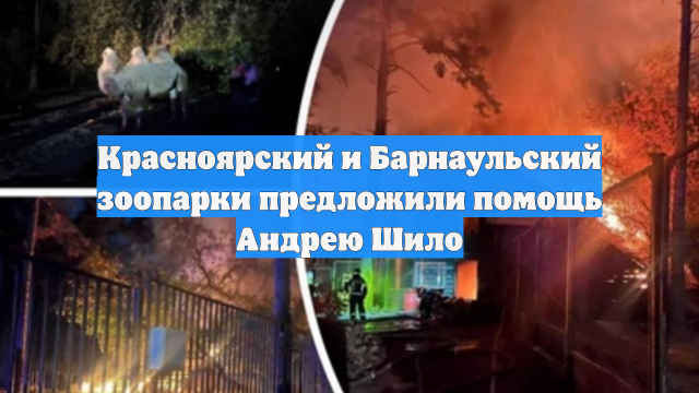 Красноярский и Барнаульский зоопарки предложили помощь Андрею Шило