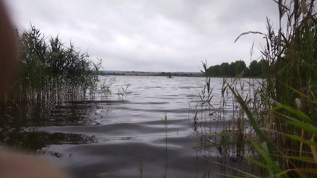 VID_20220914_111017