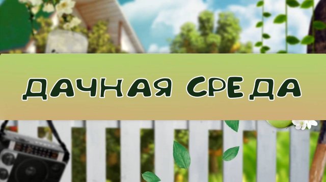 Дачная среда: успеть позаботиться - помогаем саду и растениям правильно уйти на зимовку