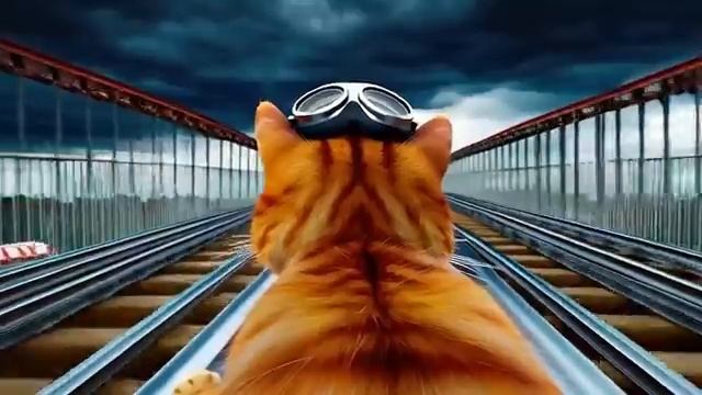 Crazy Frog - Axel F MEOW MEOW