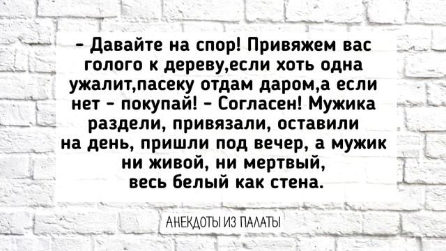 Отличная Подборка Анекдотов! Лучшие Весёлые АНЕКДОТЫ для Настроения! Выпуск 20