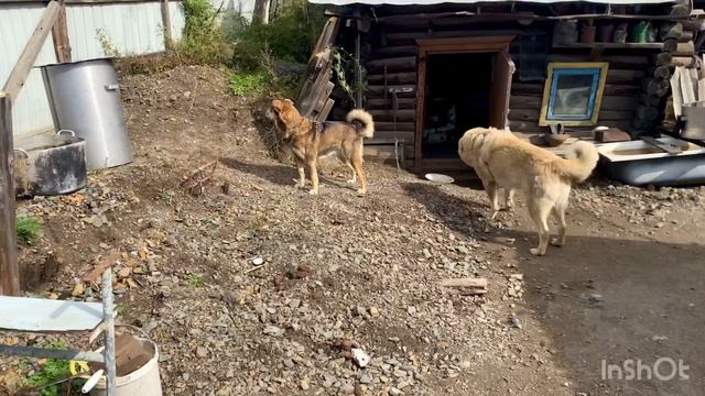Хватит хандрить,пора действовать