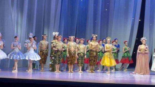 Роман бутона розы. Времена года. Большой театр 🩰