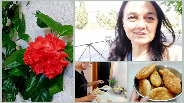 294 Жизнь на юге. ДОМАШНИЙ ВЛОГ. ЖИЗНЬ БЕЗ ПРЕКРАС. ЗАЦВЕЛА РОЗА. ПИРОЖКИ.