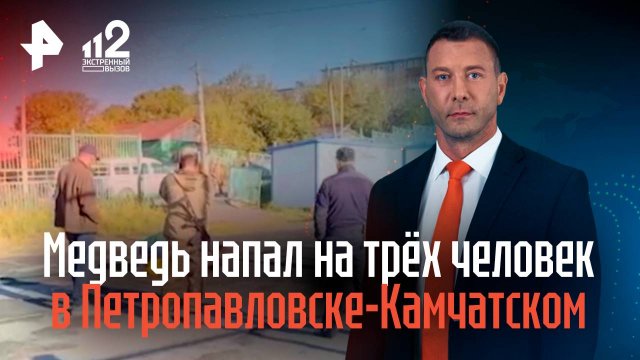В Петропавловске-Камчатском застрелили медведя, напавшего на трех человек