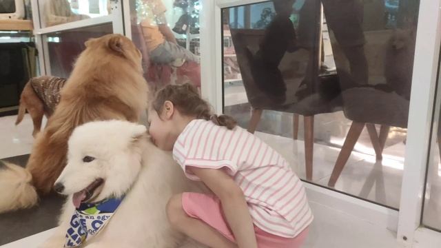 Dog кофэ в таи́ланди