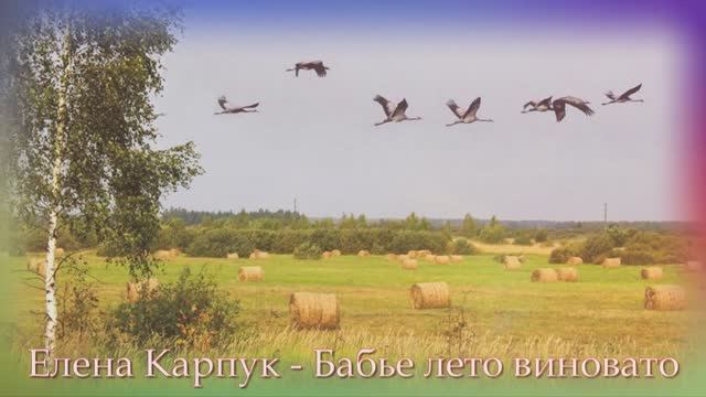 Елена Карпук - Бабье лето виновато