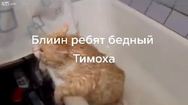Бедный Тимоха ребят