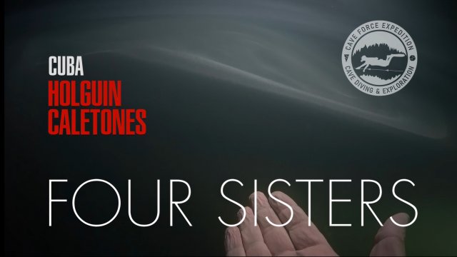 Four Sisters 2025