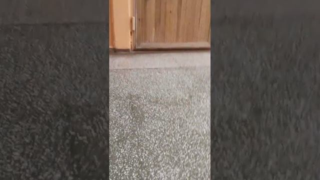 Стрим в школе