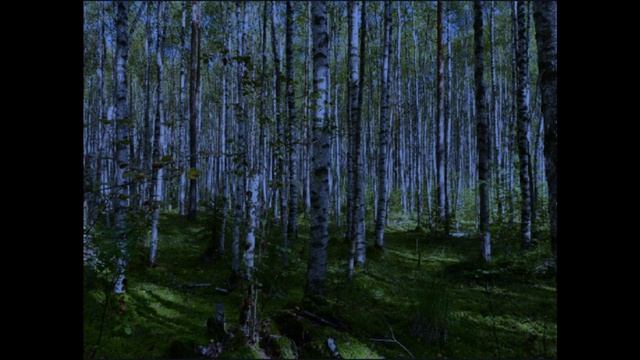помощь с того света