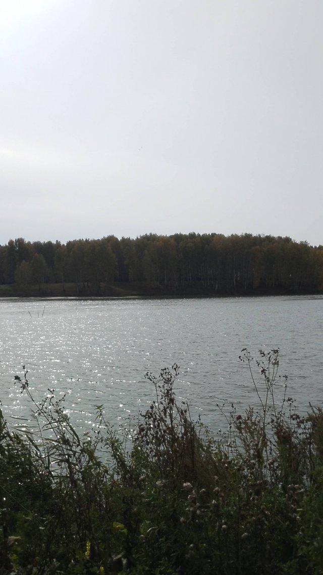 ПРОГУЛКА
