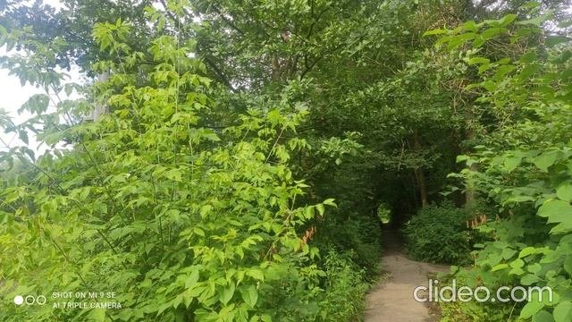 Школа Английского Языка в Пушкино _ Качественное образование в России _ Велопрогулки