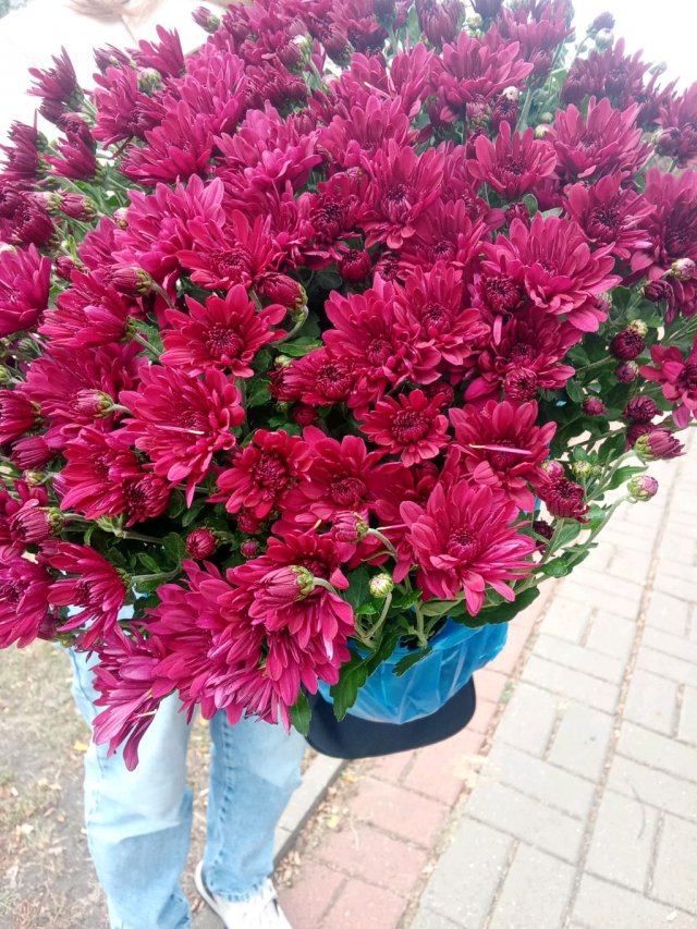 трансляция