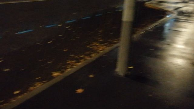 Осень Москва 2025 сентябрь. Листопад