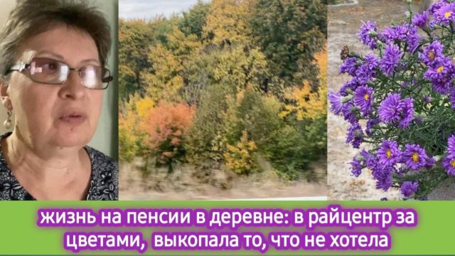 Жизнь на пенсии в деревне: в райцентр за цветами, выкопала то, что не хотела. Занимаюсь клумбами
