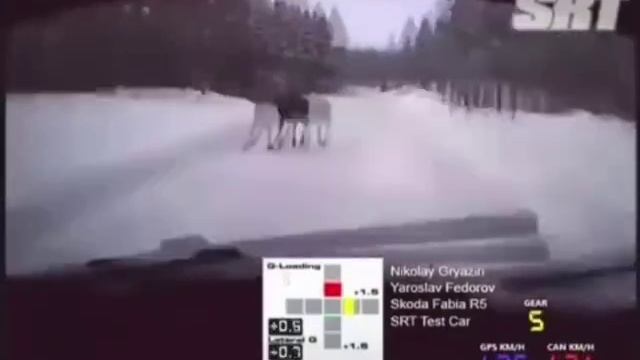 Мама сказала, что будет смотреть мой заезд!