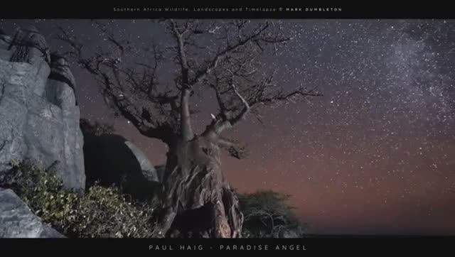 SIMPLICITY - Planet Earth Chillout Mix  2022